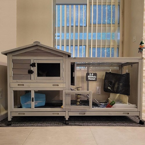 Rabbit hutch bunny - rabbit, cage