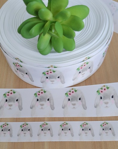 5 bunny rabbit - bunny,